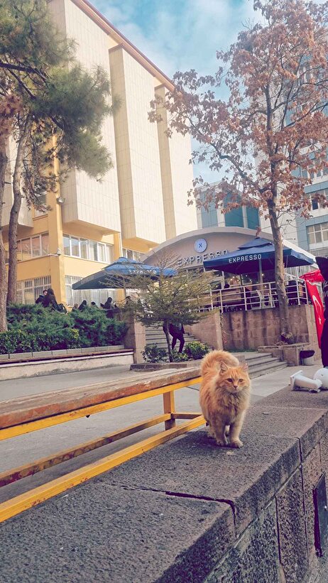 Müşteri fotoğrafı