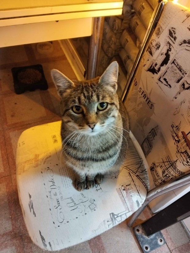 Müşteri fotoğrafı