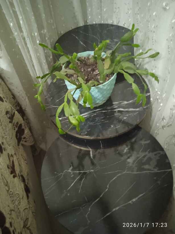 Müşteri fotoğrafı
