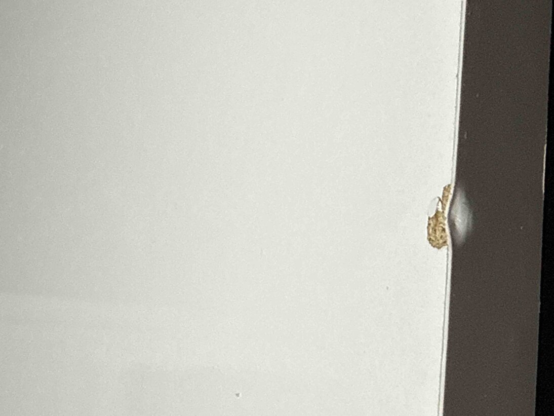 Müşteri fotoğrafı