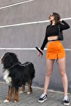 Shorts - Orange - High Waist