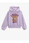 Sweatshirt - Lila - Relaxed Fit