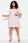 Plus Size Dress - Pink - Skater