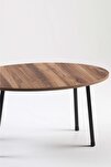 Metal Ayak Oval Orta Sehpa Ceviz