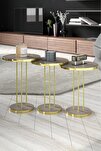 Gold Terra Zigon Çam Kahverengi 3'lü
