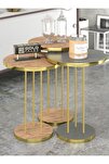 Gold Terra Zigon Ceviz Kahverengi 3'lü