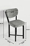 Sandalye 4 Adet Baby Face Kumaş Metal Ayak Modern Mutfak Sandalyesi Cafe Balkon Ofis Elma