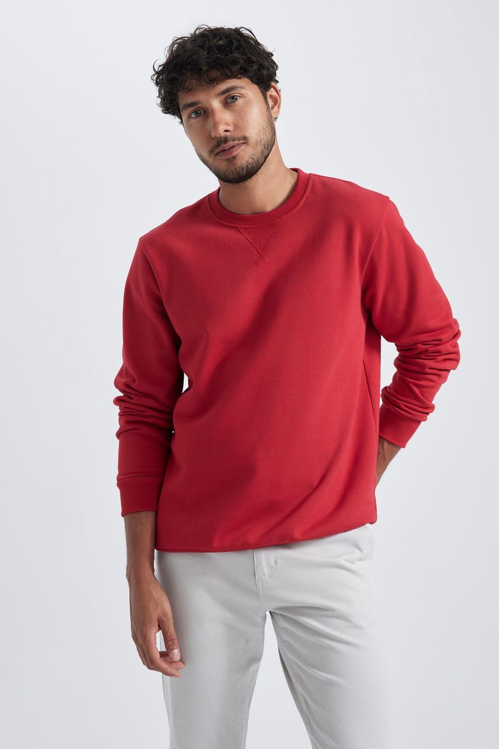 Defacto Regular Fit Crew Neck Basic Cotton Sweatshirt - Trendyol