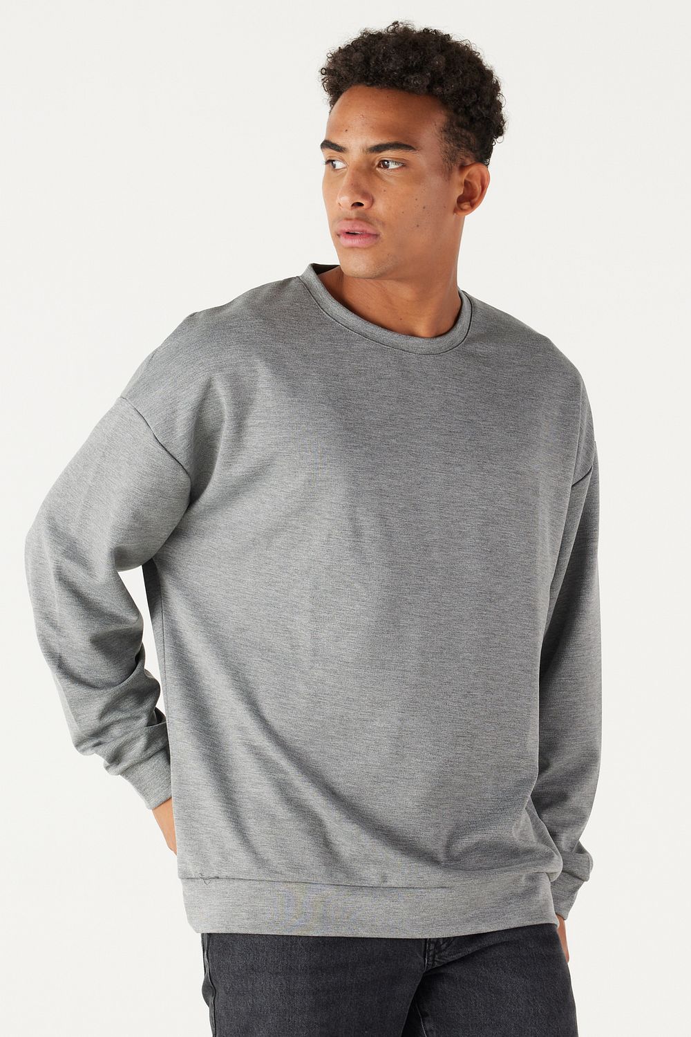 Plain gray crewneck sweatshirt 2025