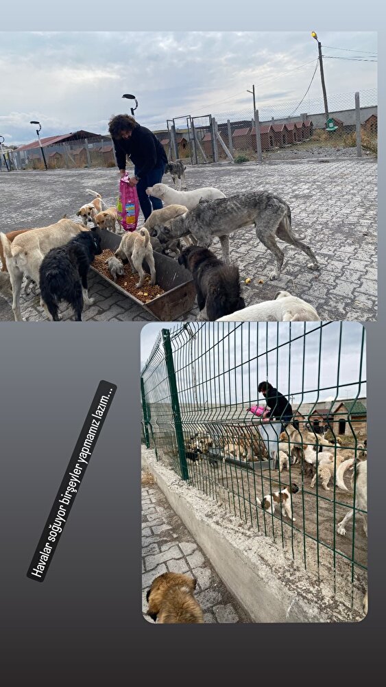 barınak canları için aldım güzel ürün 🤠