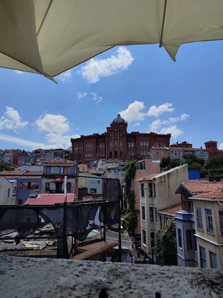 sokak kedilerine aldım sevdiler