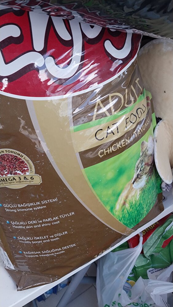 sokaktaki canlara alıyorum severek yiyorlar