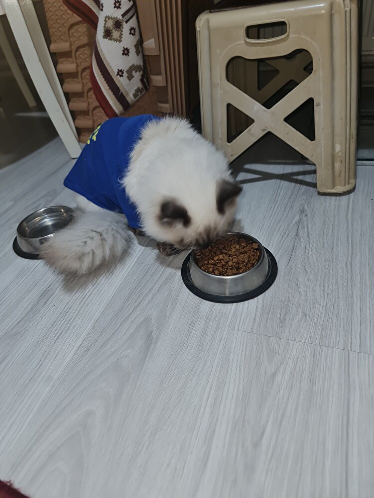 severek yiyoruz😀