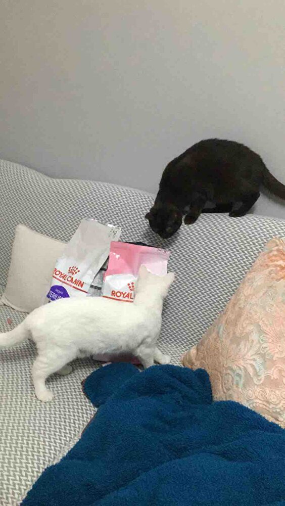 Sorunsuz geldi çok tesekkür ederim😊