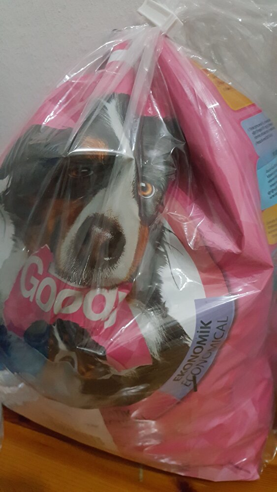 Köpeğim  lezzetine bayıldı