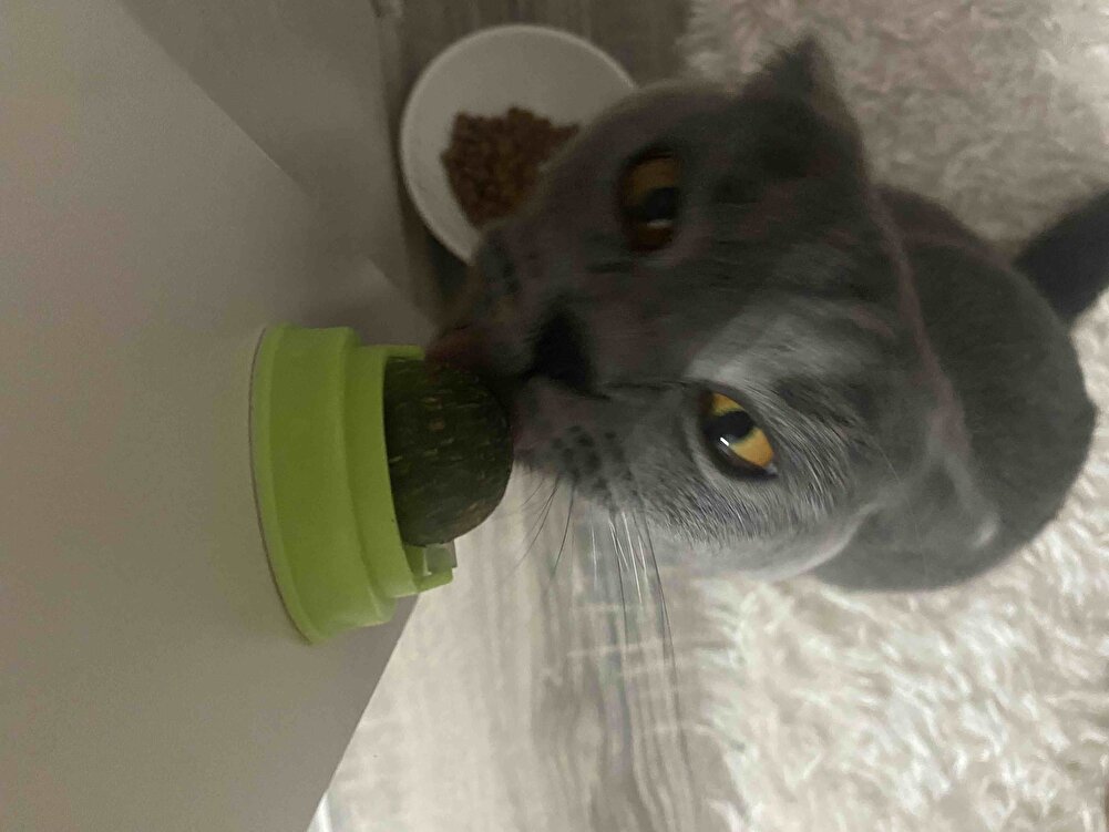 Severek kullanıyoruz