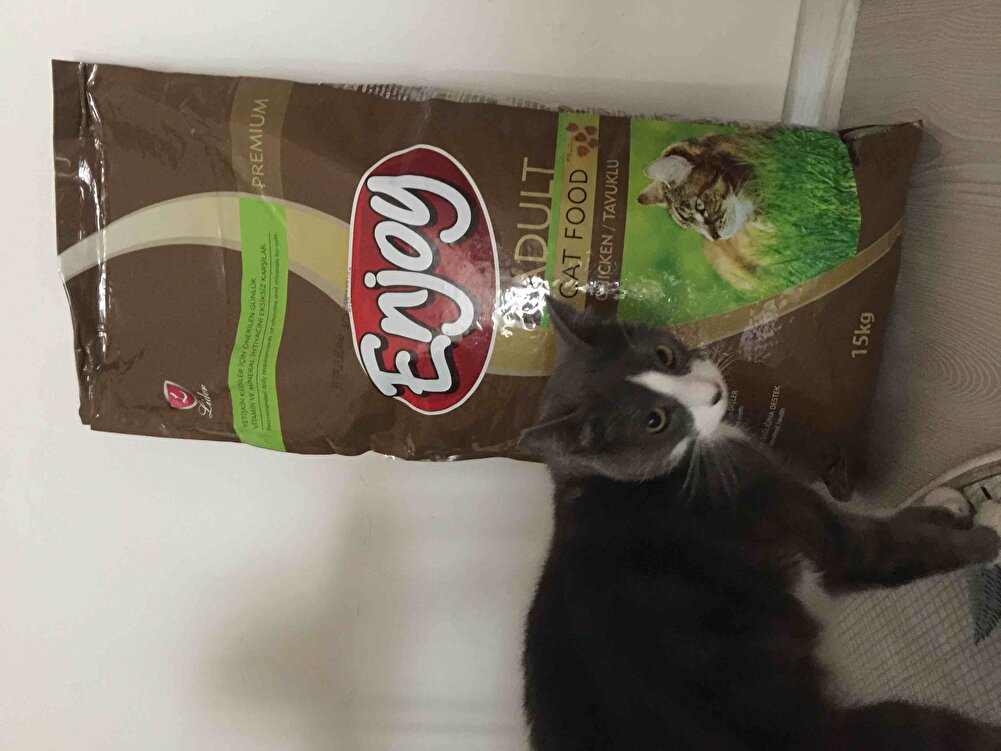 Her zaman kullandığımız mama zaten lucky çok seviyorr