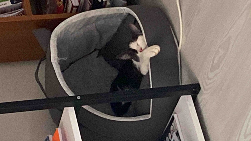 çocuklarıma hep aldığım mama çok seviyorlar