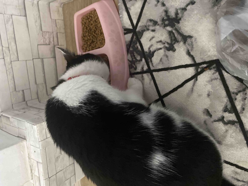 Çok güzel kızım bayılıyor bu mamaya obez olacak uyuyup uyanıyor yiyor yeni aldım neredeyse bitecek :D hep yiyor