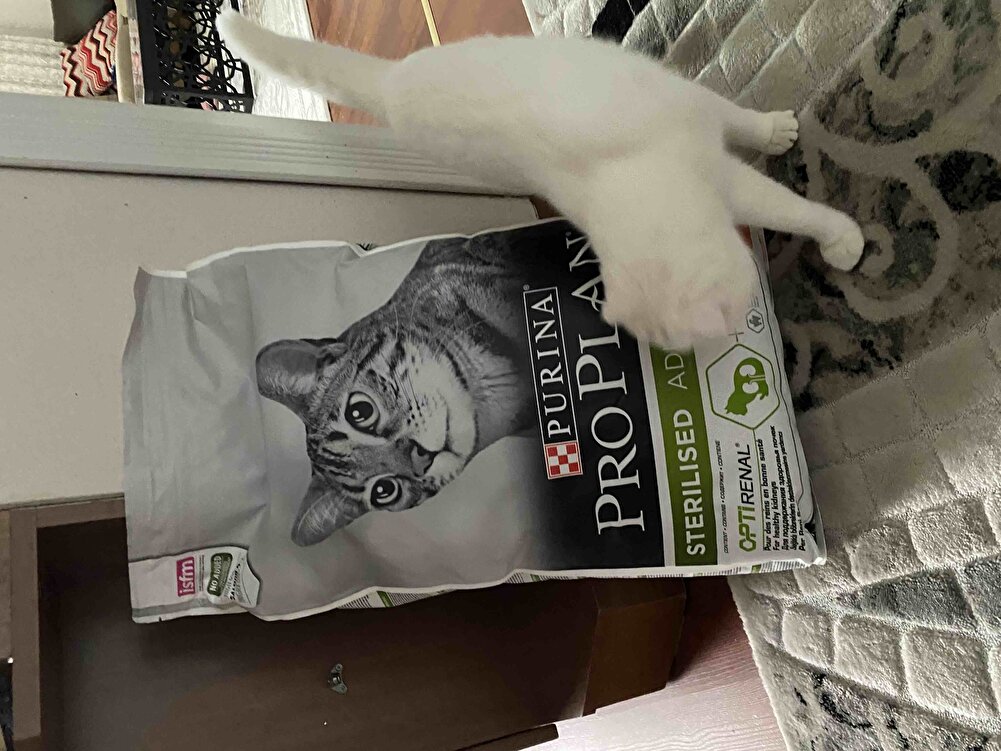 Biz çok sevdikkk😻