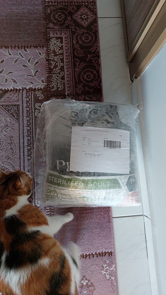 tereddüt ettim açıkçası kargo da patlarmı diye ama sorunsuz bi şekilde elime ulaştı 2 yıldır kullandığım  mama teşekkür ederim