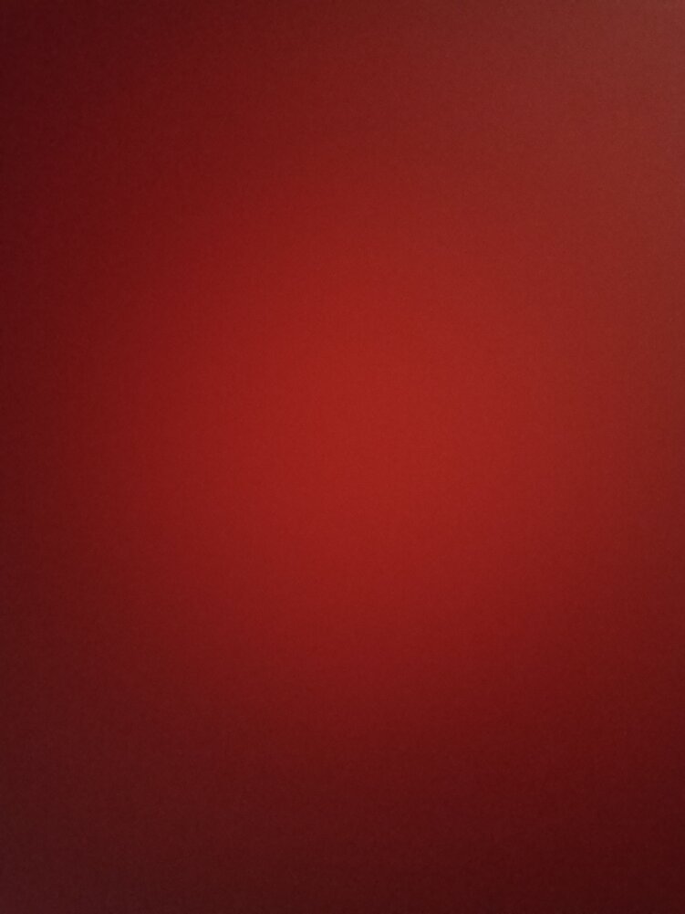 kedilerimiz çok beğendi