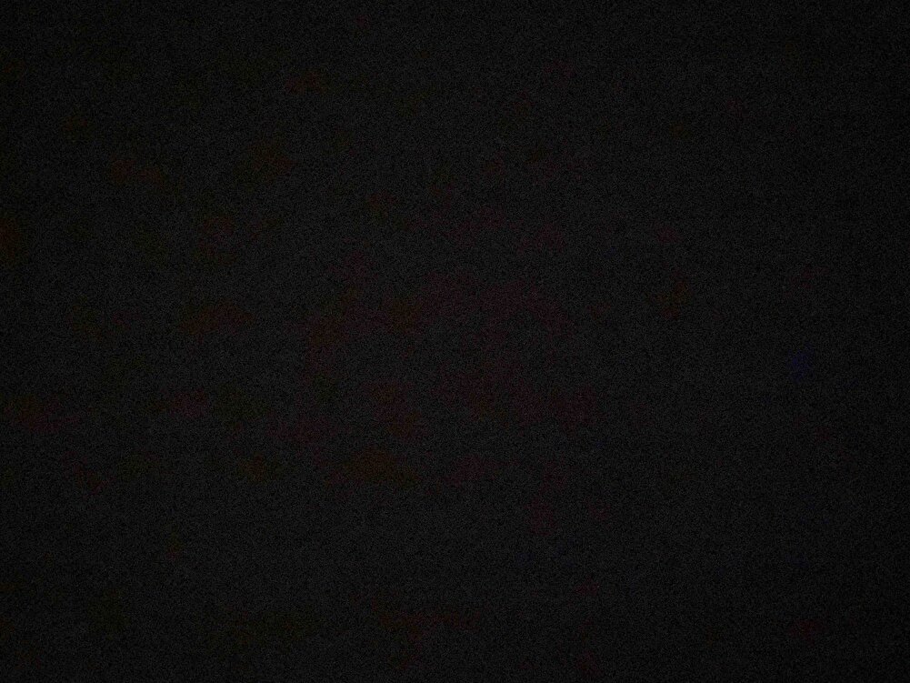 Sokak kedileri için aldım severek yediler