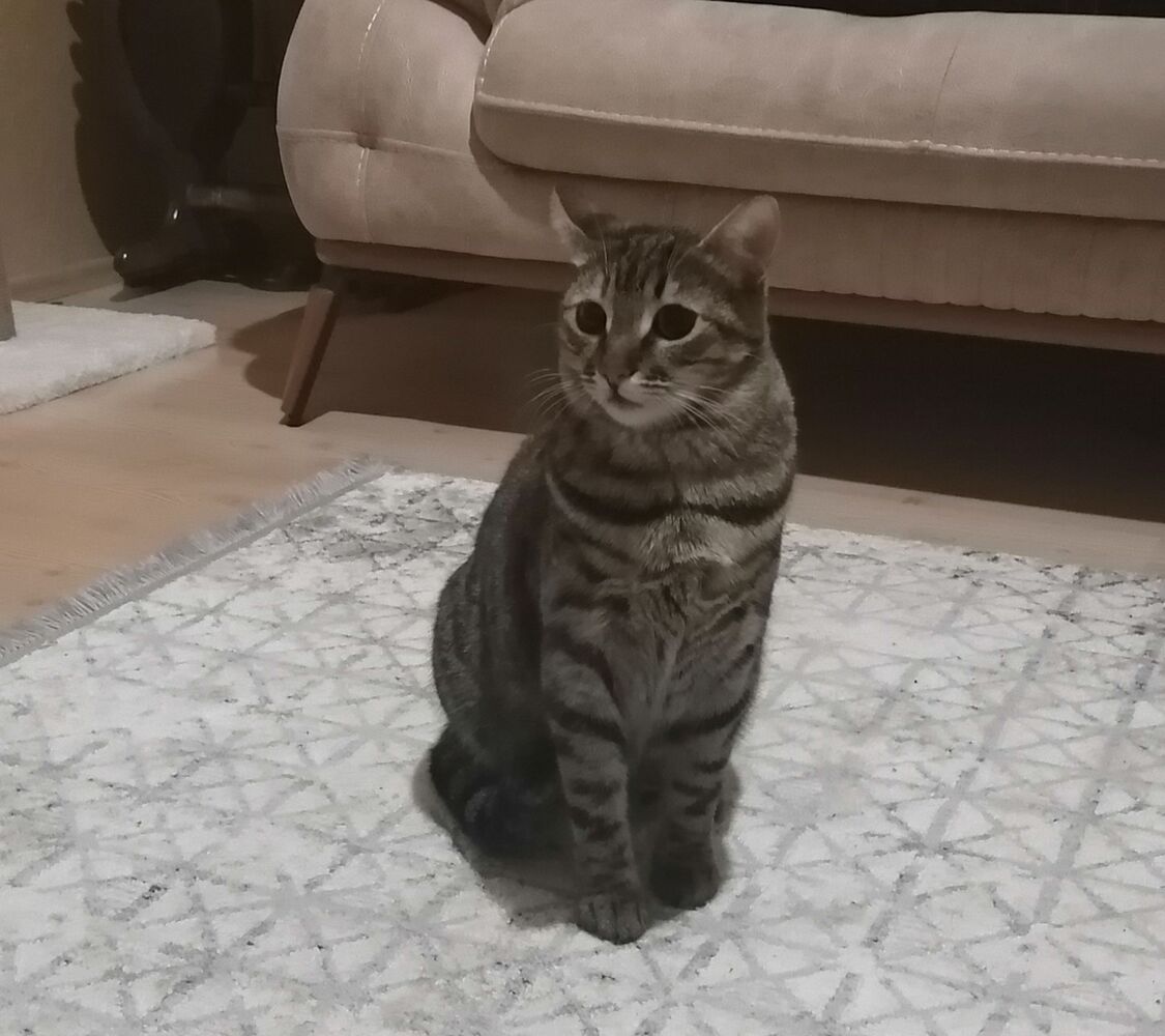 bihterim bayilarak yedi çok memnun kaldik