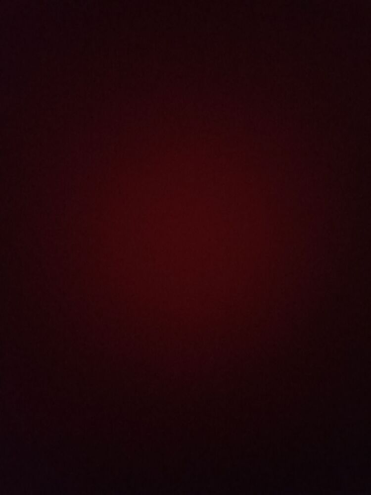 kedimin vazgeçilmezi başka mama yemiyor
