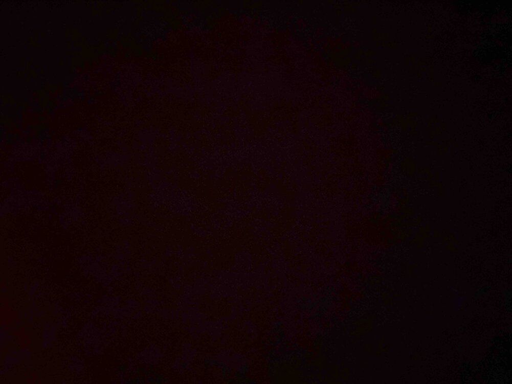 Köpeğim çok sevdi