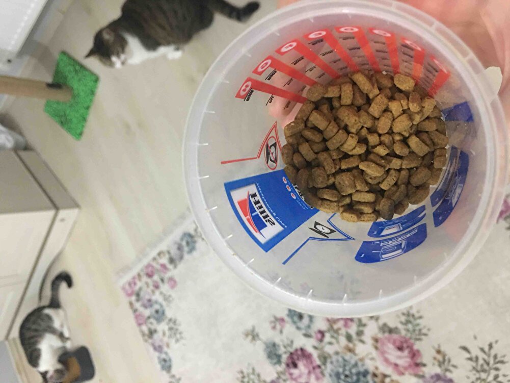 Kedilerim çok seviyor, keşke ara ara indirime girse🥹