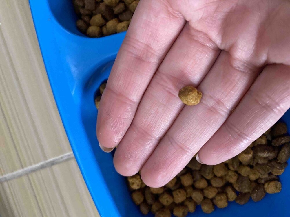 Çok iyi kedilerim beğendi baya. Diğer mamalarla karıştırırak kullanıyorum