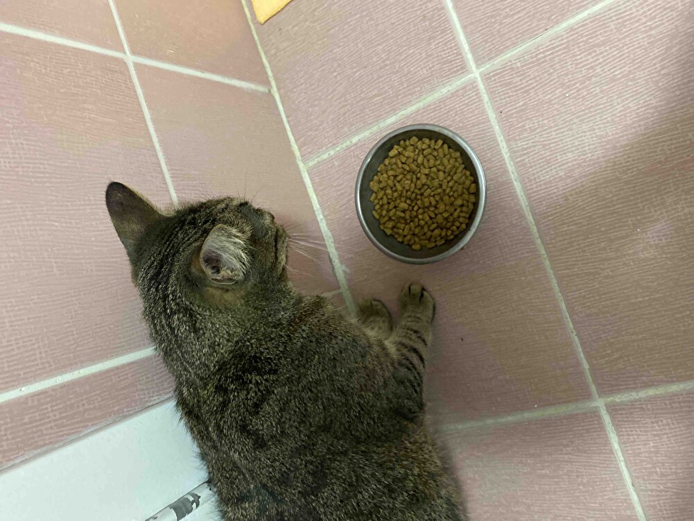 Ürünün paketi Farklı geldi ama içerik aynı