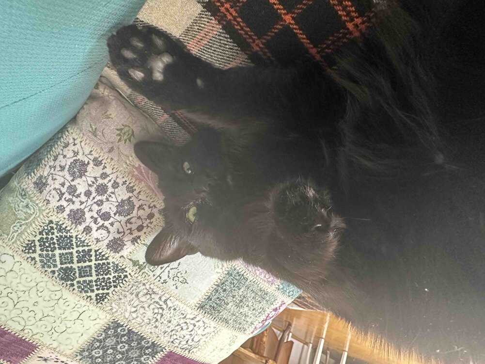 Paketleme sağlam, ürün de güzel. Teşekkürler