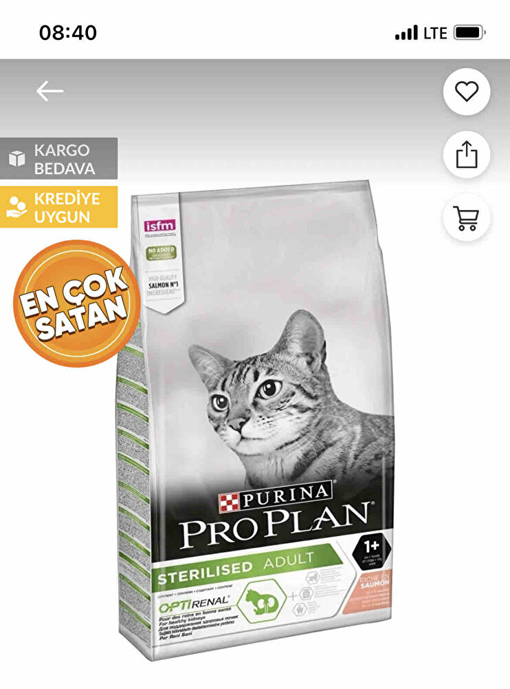 Kedimiz seviyor güzel hızlı kargo