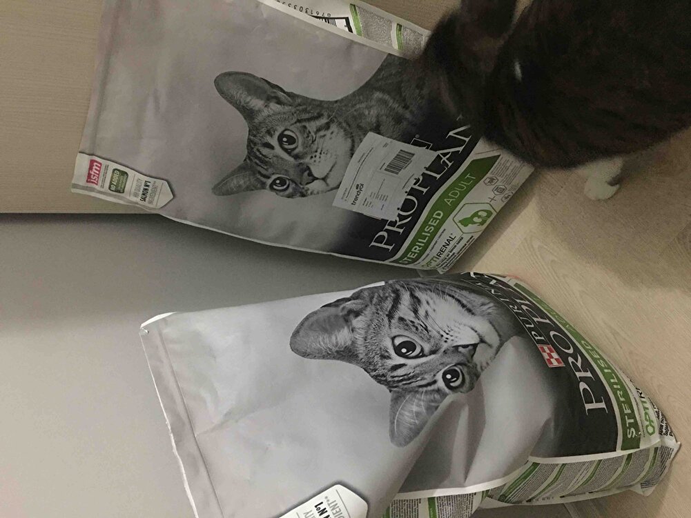 Kedilerim çok seviyor, keşke ara ara indirime girse🥹