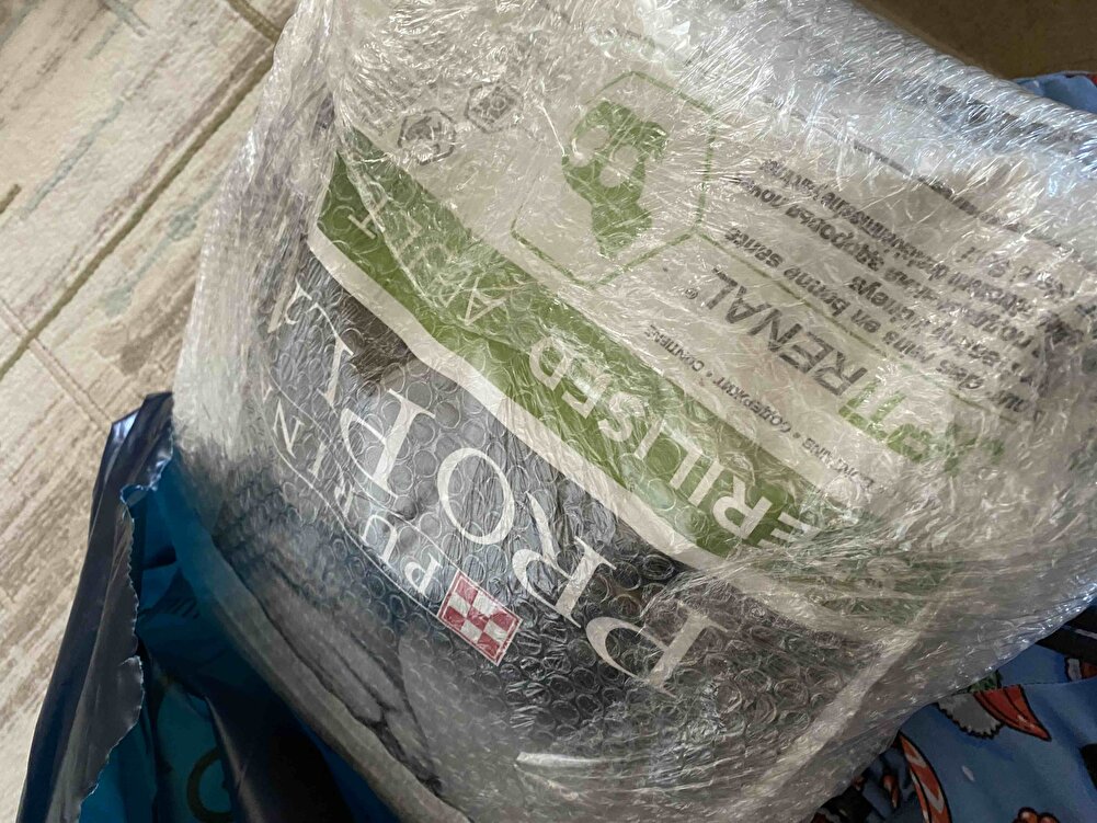 kedim bayılarak yiyor