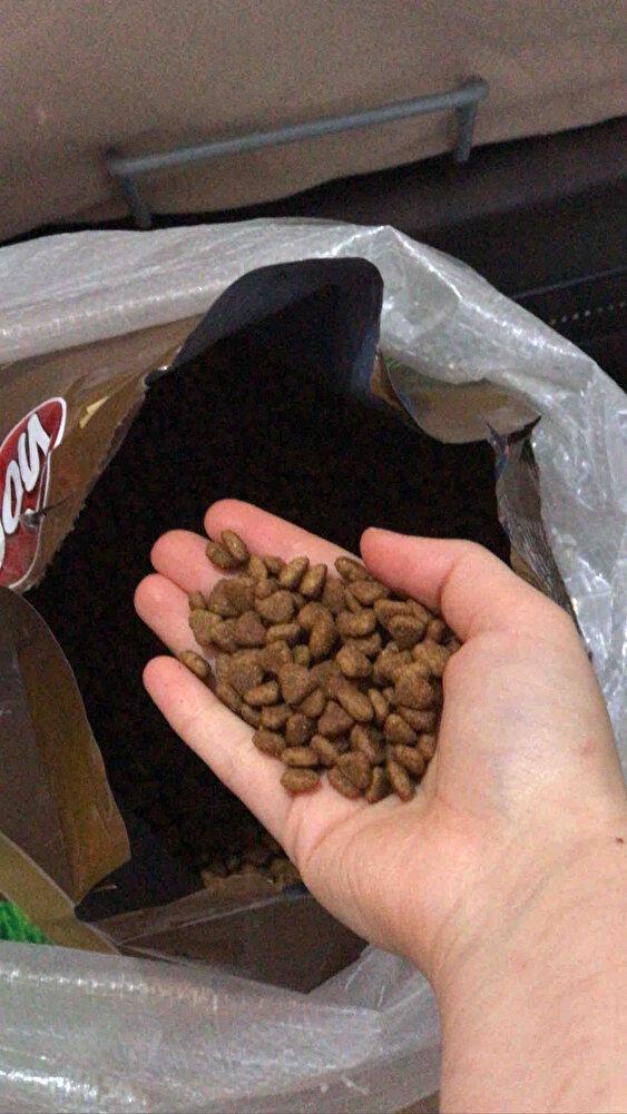 Kargolama süreci aşırı hızlıydı bu çok güzel paketleme de sağlamdı mamalar da taze geldi gerçekten çok iyi tavsiye edebileceğim bir ürün hayvanlarda çok severek yiyor