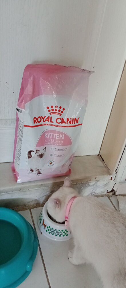 kedilerim severek tüketiyor içeriği oldukça zengin bir mama