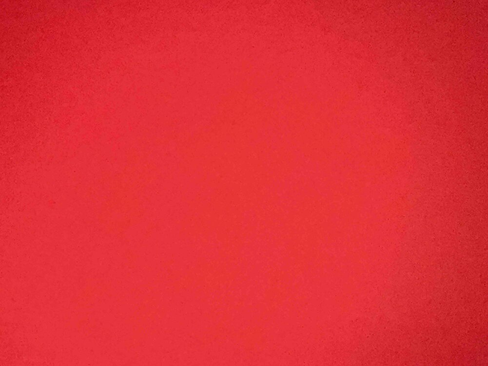 Kedim sevdi güzel bir mama