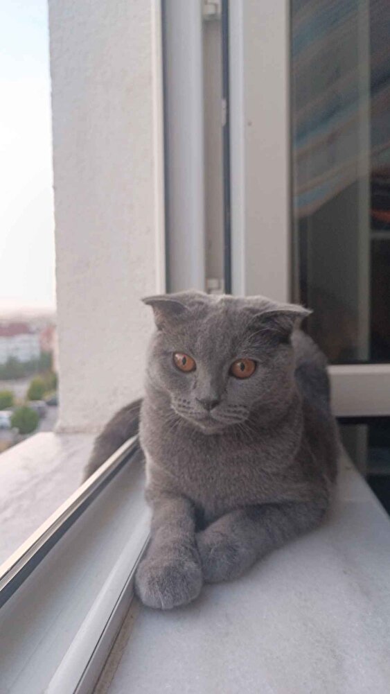 güzel kızım severek yiyor