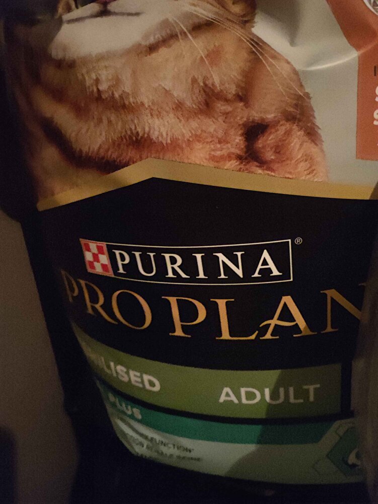 çok güzel tavsiye ederim