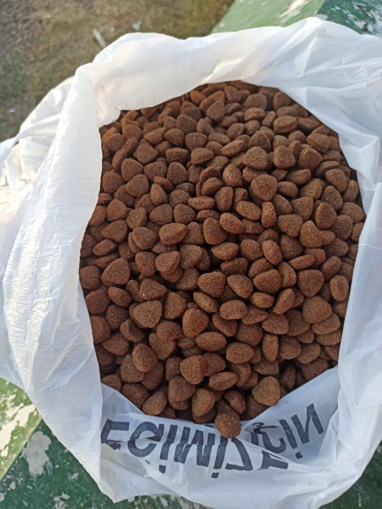 sokaktaki canlar için alıyoruz . çok seviyorlar.