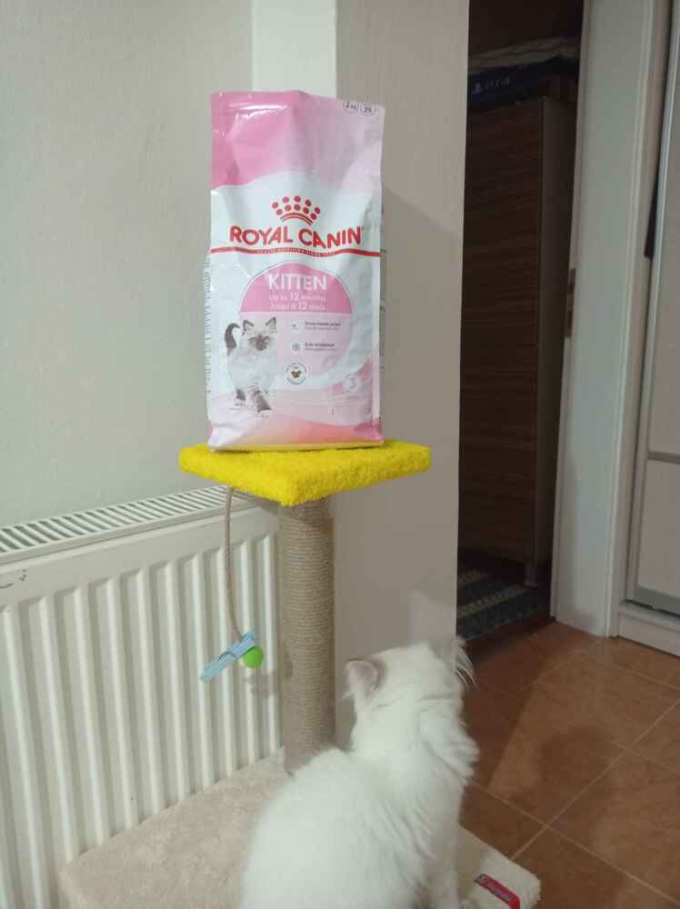 ürün sorunsuz elimize ulaştı.maalesef hediyemiz yoktu teşekkürler:)