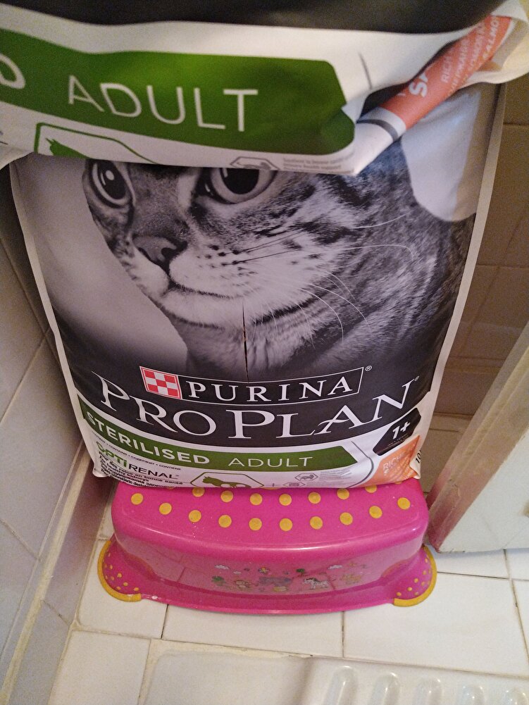 Bizim kedi severek yiyor