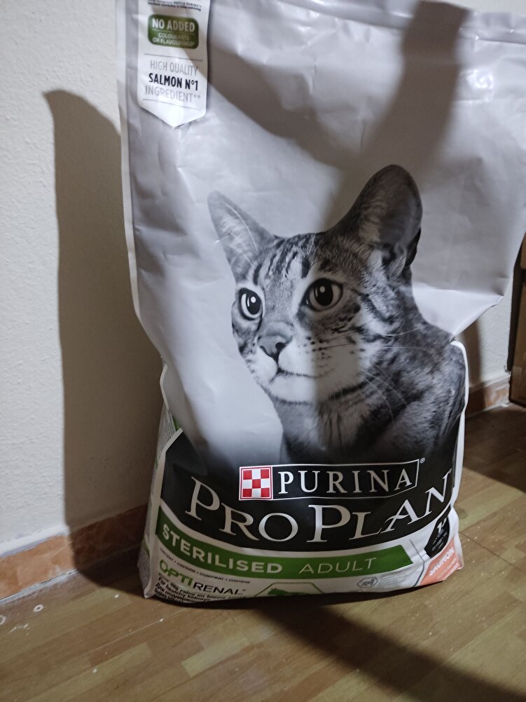 kedilerim severek yiyor