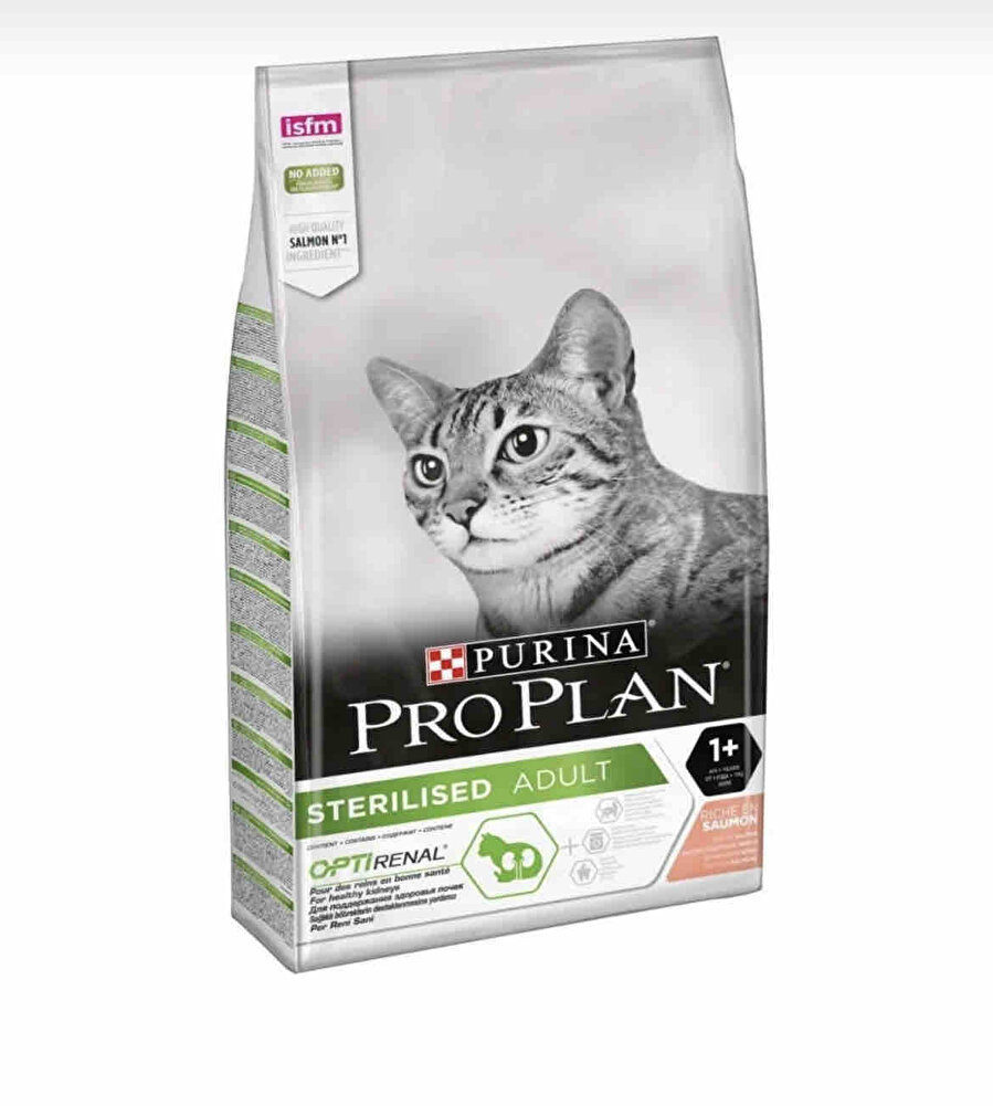 Güzel mama kediler severek yiyor