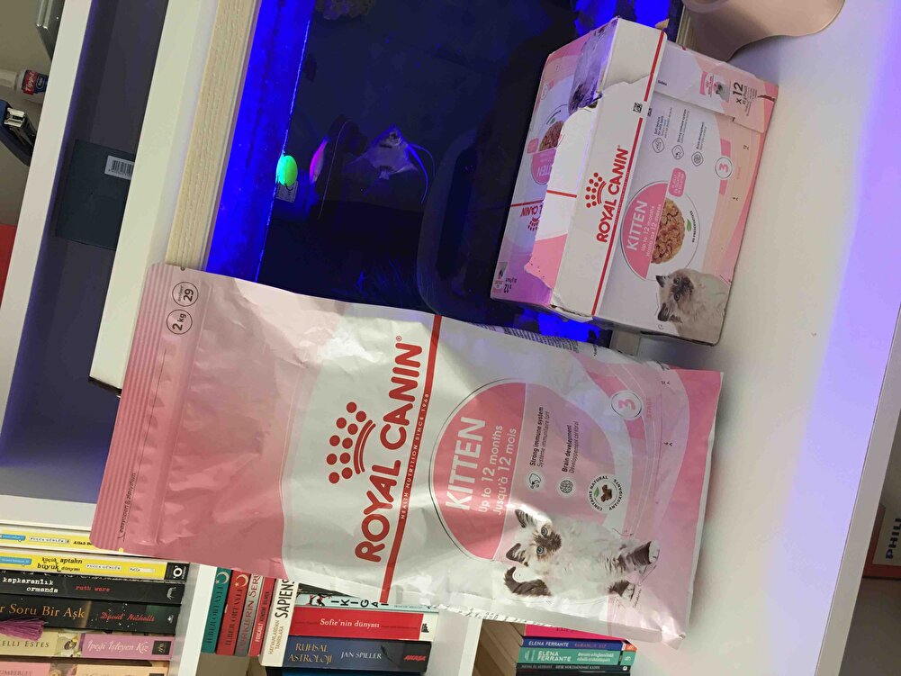 Skt’si 2024 benim için bu önemliydi 🙌🏻 dün sipariş verdim bugün geldi, teşekkürler 👏🏻💜