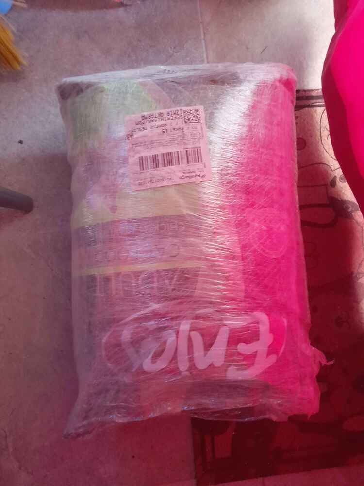 bahçedeki kediler seviyor