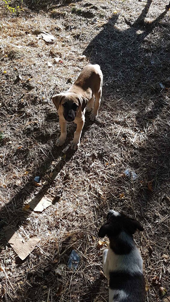 Çok memnun kaldığımız bir ürün ,firmaya kargo özeni için teşekkür ediyorum.